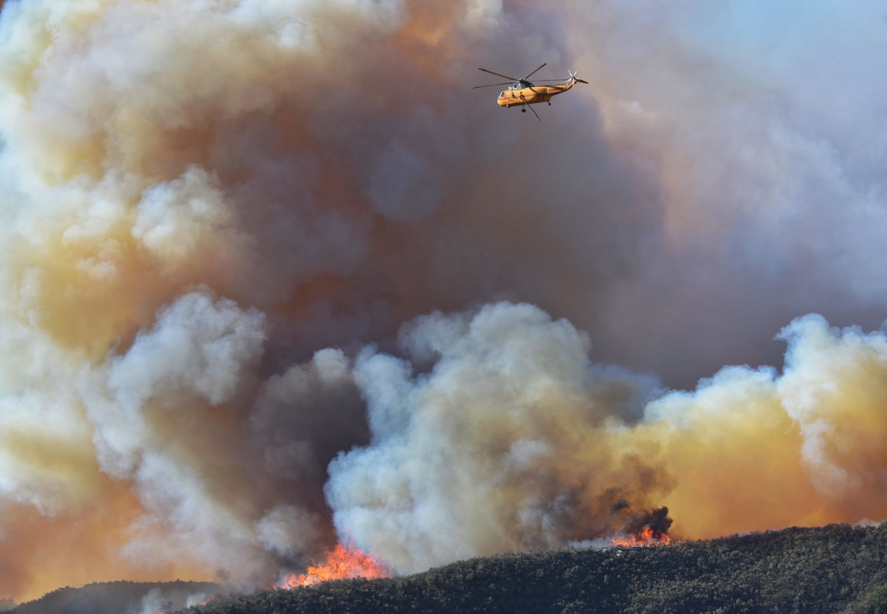 101221 alisal eliason 3.jpg